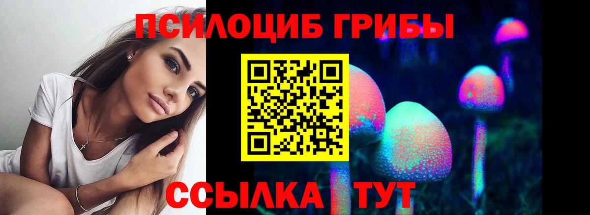 Галлюциногенные грибы мухоморы  купить закладку  Орехово-Зуево  Псилоцибиновые грибы Magic Shrooms  Вход с VPN 